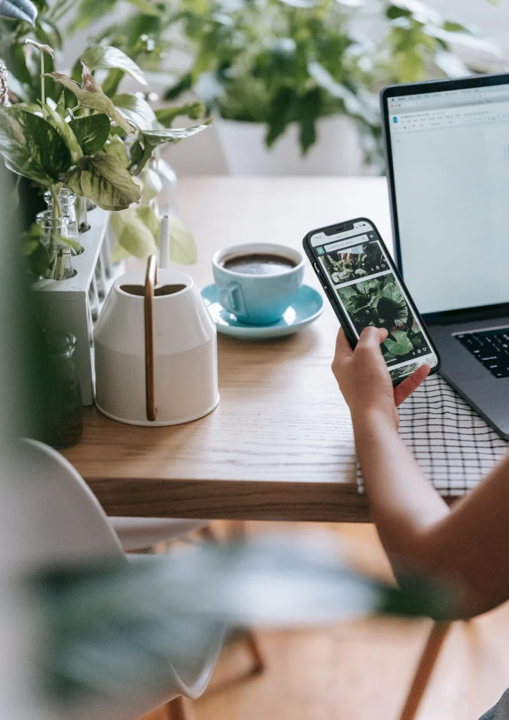 social-media-management social-media-management